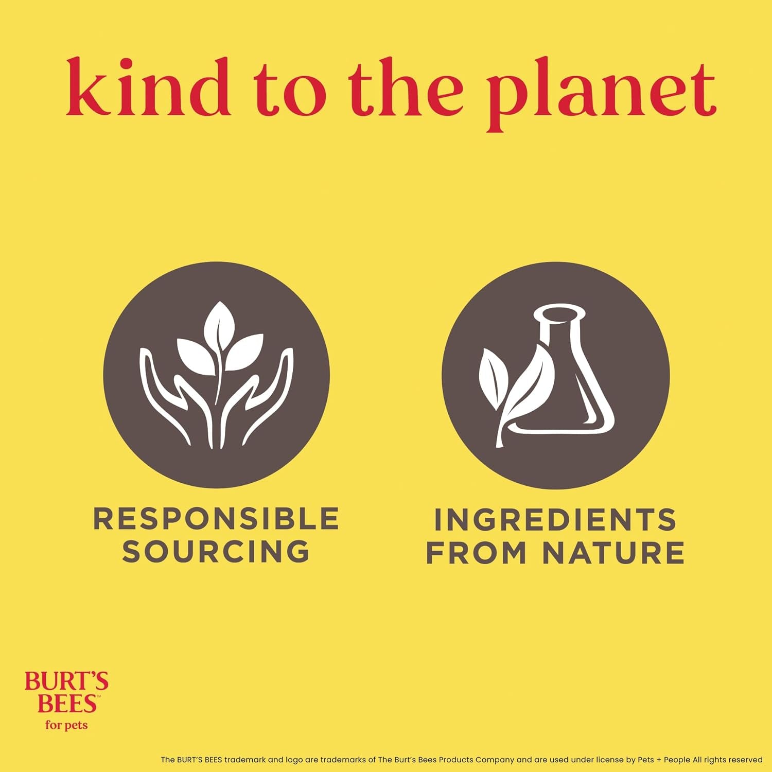 Cat Dander Remover Wipes with Colloidal Oat Flour - Pet Dander Remover Cat Wipes for Allergy Relief, Dry Skin Relief for Cats and Kittens, 50 Count